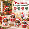 Dachshund Christmas Advent Calendar